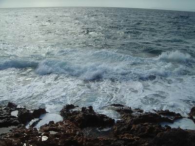 DSCF0131.JPG